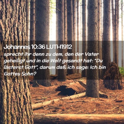 Picture 02 - Johannes 10:36 LUTH1912 - sprecht ihr denn zu dem, den der Vater geheiligt - Bible Verse Picture
