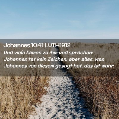 Picture 02 - Johannes 10:41 LUTH1912 - Und viele kamen zu ihm und sprachen: Johannes tat - Bible Verse Picture