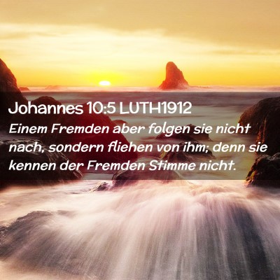 Picture 02 - Johannes 10:5 LUTH1912 - Einem Fremden aber folgen sie nicht nach, sondern - Bible Verse Picture
