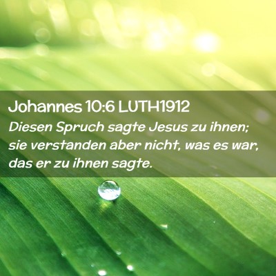 Picture 02 - Johannes 10:6 LUTH1912 - Diesen Spruch sagte Jesus zu ihnen; sie - Bible Verse Picture