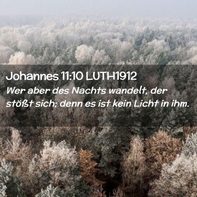 Picture 02 - Johannes 11:10 LUTH1912 - Wer aber des Nachts wandelt, der stößt sich; - Bible Verse Picture