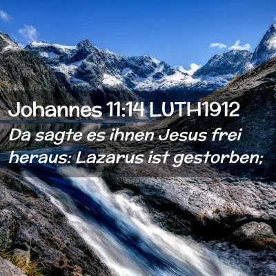 Picture 02 - Johannes 11:14 LUTH1912 - Da sagte es ihnen Jesus frei heraus: Lazarus ist - Bible Verse Picture