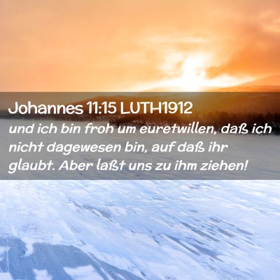 Picture 02 - Johannes 11:15 LUTH1912 - und ich bin froh um euretwillen, daß ich nicht - Bible Verse Picture
