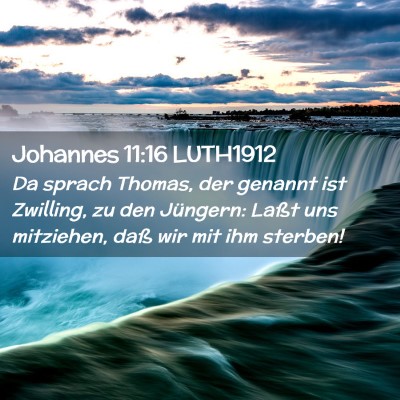 Picture 02 - Johannes 11:16 LUTH1912 - Da sprach Thomas, der genannt ist Zwilling, zu - Bible Verse Picture