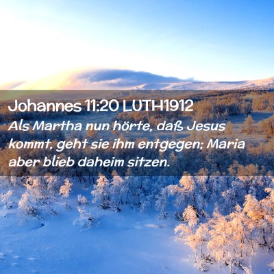 Picture 02 - Johannes 11:20 LUTH1912 - Als Martha nun hörte, daß Jesus kommt, geht sie - Bible Verse Picture