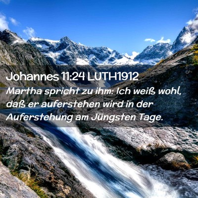 Picture 02 - Johannes 11:24 LUTH1912 - Martha spricht zu ihm: Ich weiß wohl, daß er - Bible Verse Picture