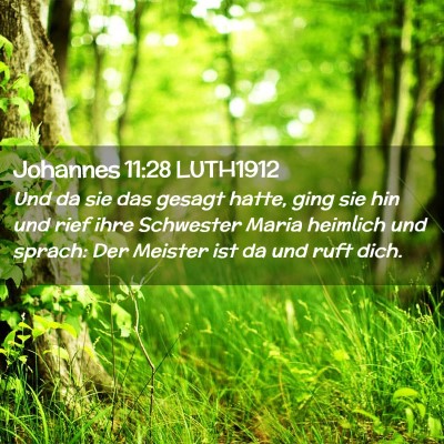 Picture 02 - Johannes 11:28 LUTH1912 - Und da sie das gesagt hatte, ging sie hin und - Bible Verse Picture