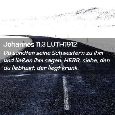 Picture 02 - Johannes 11:3 LUTH1912 - Da sandten seine Schwestern zu ihm und ließen - Bible Verse Picture