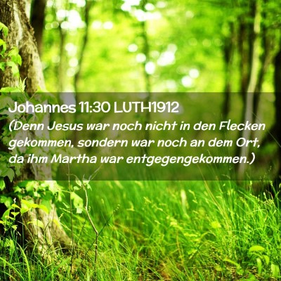 Picture 02 - Johannes 11:30 LUTH1912 - (Denn Jesus war noch nicht in den Flecken - Bible Verse Picture