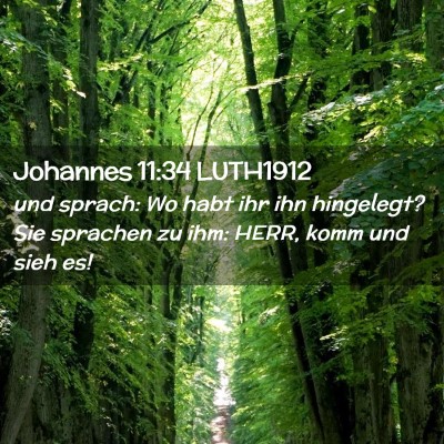 Picture 02 - Johannes 11:34 LUTH1912 - und sprach: Wo habt ihr ihn hingelegt? Sie - Bible Verse Picture