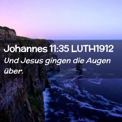Picture 02 - Johannes 11:35 LUTH1912 - Und Jesus gingen die Augen - Bible Verse Picture