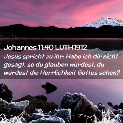 Picture 02 - Johannes 11:40 LUTH1912 - Jesus spricht zu ihr: Habe ich dir nicht gesagt, - Bible Verse Picture