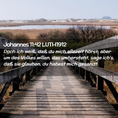 Picture 02 - Johannes 11:42 LUTH1912 - Doch ich weiß, daß du mich allezeit hörst; - Bible Verse Picture