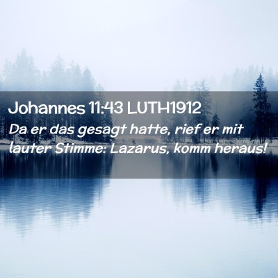 Picture 02 - Johannes 11:43 LUTH1912 - Da er das gesagt hatte, rief er mit lauter - Bible Verse Picture