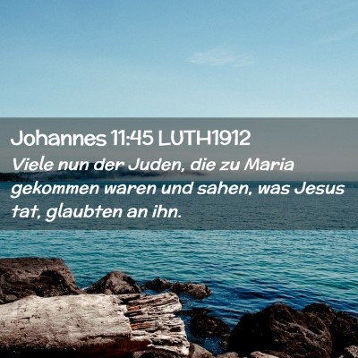 Picture 02 - Johannes 11:45 LUTH1912 - Viele nun der Juden, die zu Maria gekommen waren - Bible Verse Picture
