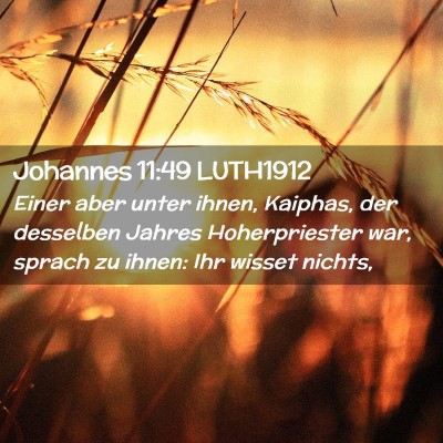 Picture 02 - Johannes 11:49 LUTH1912 - Einer aber unter ihnen, Kaiphas, der desselben - Bible Verse Picture