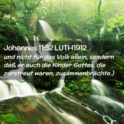 Picture 02 - Johannes 11:52 LUTH1912 - und nicht für das Volk allein, sondern daß er - Bible Verse Picture