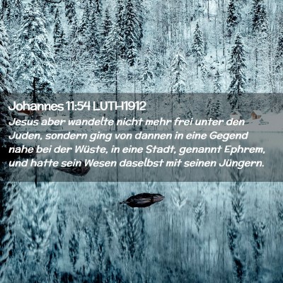 Picture 02 - Johannes 11:54 LUTH1912 - Jesus aber wandelte nicht mehr frei unter den - Bible Verse Picture