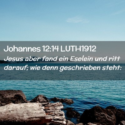Picture 02 - Johannes 12:14 LUTH1912 - Jesus aber fand ein Eselein und ritt darauf; wie - Bible Verse Picture