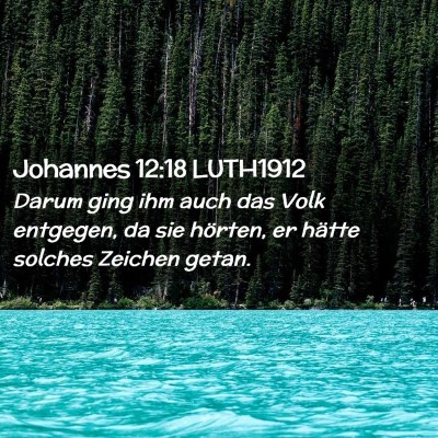 Picture 02 - Johannes 12:18 LUTH1912 - Darum ging ihm auch das Volk entgegen, da sie - Bible Verse Picture