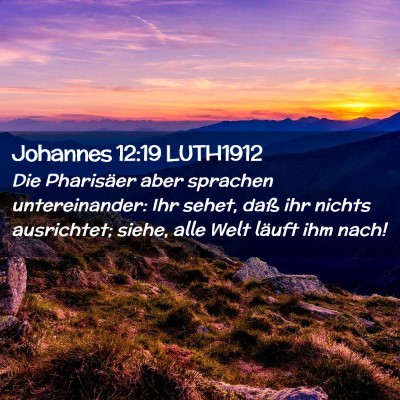 Picture 02 - Johannes 12:19 LUTH1912 - Die Pharisäer aber sprachen untereinander: Ihr - Bible Verse Picture