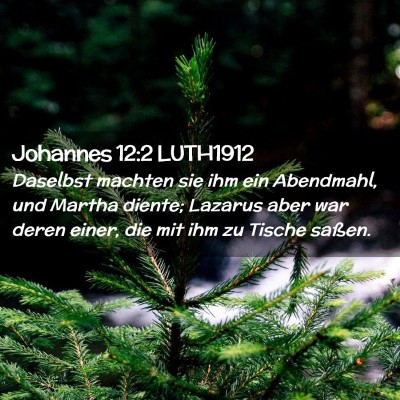 Picture 02 - Johannes 12:2 LUTH1912 - Daselbst machten sie ihm ein Abendmahl, und - Bible Verse Picture