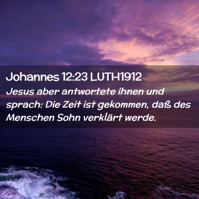 Picture 02 - Johannes 12:23 LUTH1912 - Jesus aber antwortete ihnen und sprach: Die Zeit - Bible Verse Picture