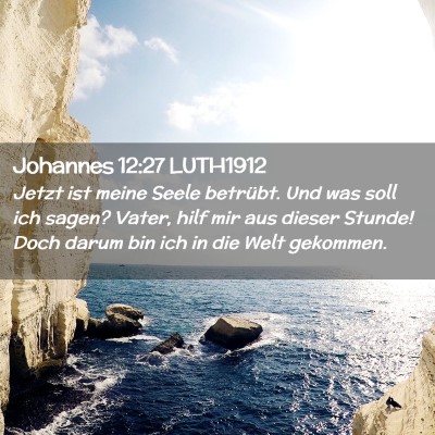 Picture 02 - Johannes 12:27 LUTH1912 - Jetzt ist meine Seele betrübt. Und was soll ich - Bible Verse Picture