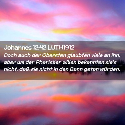 Picture 02 - Johannes 12:42 LUTH1912 - Doch auch der Obersten glaubten viele an ihn; - Bible Verse Picture