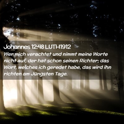 Picture 02 - Johannes 12:48 LUTH1912 - Wer mich verachtet und nimmt meine Worte nicht - Bible Verse Picture
