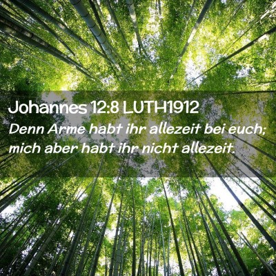 Picture 02 - Johannes 12:8 LUTH1912 - Denn Arme habt ihr allezeit bei euch; mich aber - Bible Verse Picture