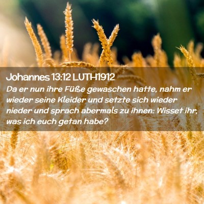 Picture 02 - Johannes 13:12 LUTH1912 - Da er nun ihre Füße gewaschen hatte, nahm er - Bible Verse Picture