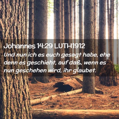 Picture 02 - Johannes 14:29 LUTH1912 - Und nun ich es euch gesagt habe, ehe denn es - Bible Verse Picture