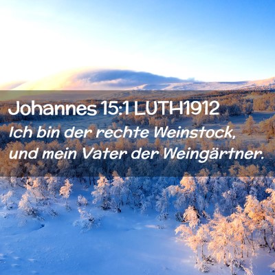 Picture 02 - Johannes 15:1 LUTH1912 - Ich bin der rechte Weinstock, und mein Vater der - Bible Verse Picture
