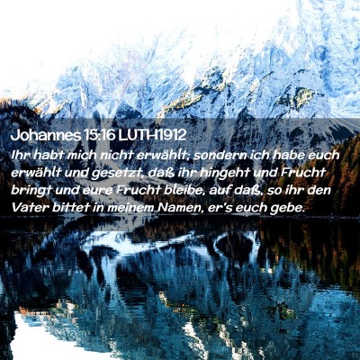 Picture 02 - Johannes 15:16 LUTH1912 - Ihr habt mich nicht erwählt; sondern ich habe - Bible Verse Picture