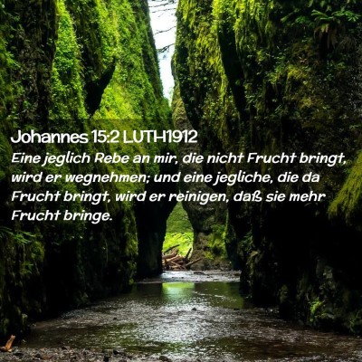 Picture 02 - Johannes 15:2 LUTH1912 - Eine jeglich Rebe an mir, die nicht Frucht - Bible Verse Picture