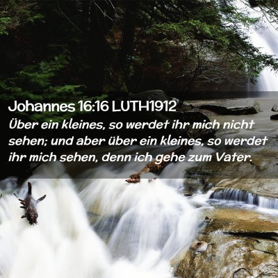 Picture 02 - Johannes 16:16 LUTH1912 - Über ein kleines, so werdet ihr mich nicht - Bible Verse Picture