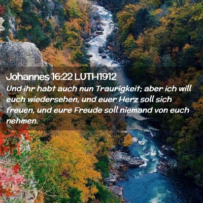 Picture 02 - Johannes 16:22 LUTH1912 - Und ihr habt auch nun Traurigkeit; aber ich will - Bible Verse Picture