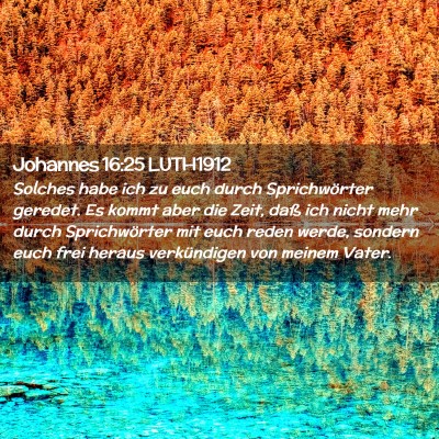 Picture 02 - Johannes 16:25 LUTH1912 - Solches habe ich zu euch durch Sprichwörter - Bible Verse Picture