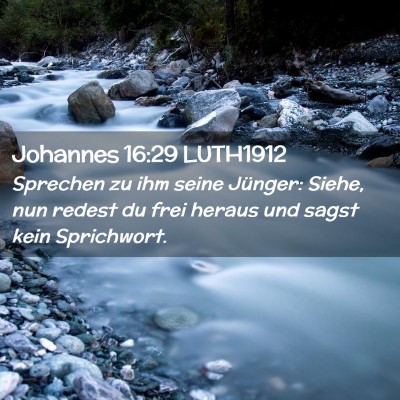 Picture 02 - Johannes 16:29 LUTH1912 - Sprechen zu ihm seine Jünger: Siehe, nun redest - Bible Verse Picture