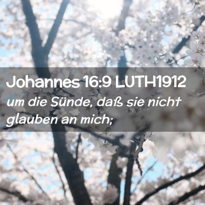 Picture 02 - Johannes 16:9 LUTH1912 - um die Sünde, daß sie nicht glauben an - Bible Verse Picture