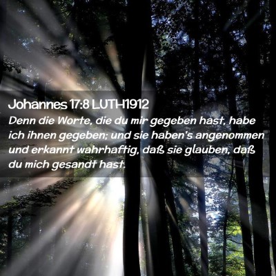 Picture 02 - Johannes 17:8 LUTH1912 - Denn die Worte, die du mir gegeben hast, habe ich - Bible Verse Picture