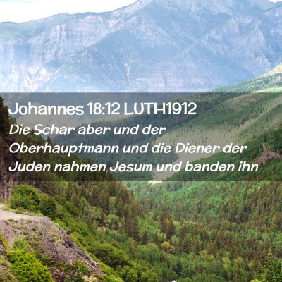 Picture 02 - Johannes 18:12 LUTH1912 - Die Schar aber und der Oberhauptmann und die - Bible Verse Picture