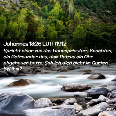 Picture 02 - Johannes 18:26 LUTH1912 - Spricht einer von des Hohenpriesters Knechten, - Bible Verse Picture