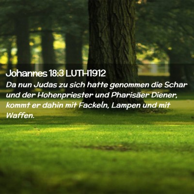 Picture 02 - Johannes 18:3 LUTH1912 - Da nun Judas zu sich hatte genommen die Schar und - Bible Verse Picture