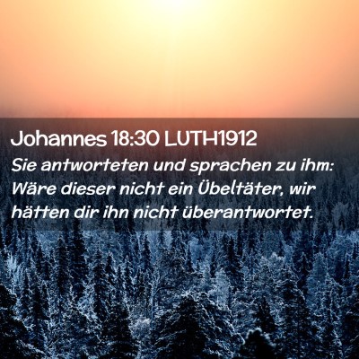Picture 02 - Johannes 18:30 LUTH1912 - Sie antworteten und sprachen zu ihm: Wäre dieser - Bible Verse Picture
