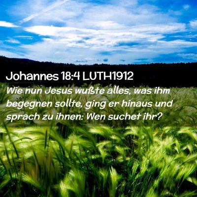 Picture 02 - Johannes 18:4 LUTH1912 - Wie nun Jesus wußte alles, was ihm begegnen - Bible Verse Picture