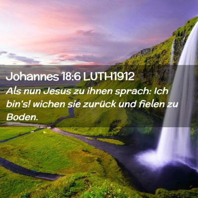 Picture 02 - Johannes 18:6 LUTH1912 - Als nun Jesus zu ihnen sprach: Ich bin's! wichen - Bible Verse Picture