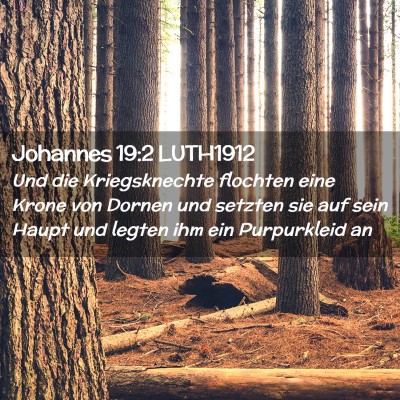 Picture 02 - Johannes 19:2 LUTH1912 - Und die Kriegsknechte flochten eine Krone von - Bible Verse Picture