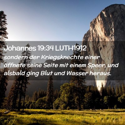 Picture 02 - Johannes 19:34 LUTH1912 - sondern der Kriegsknechte einer öffnete seine - Bible Verse Picture